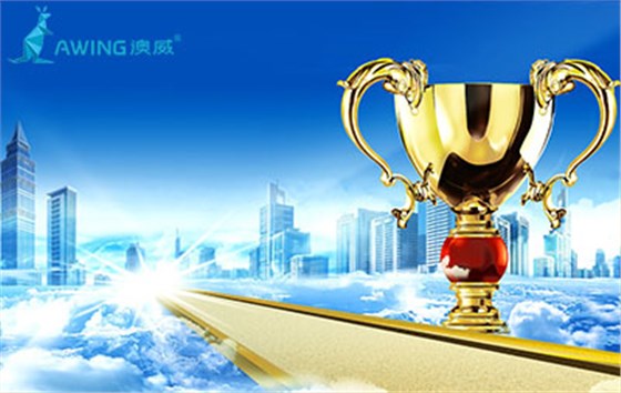 門窗十大品牌企業(yè)在競爭拉鋸賽中跟緊并趕超對(duì)手